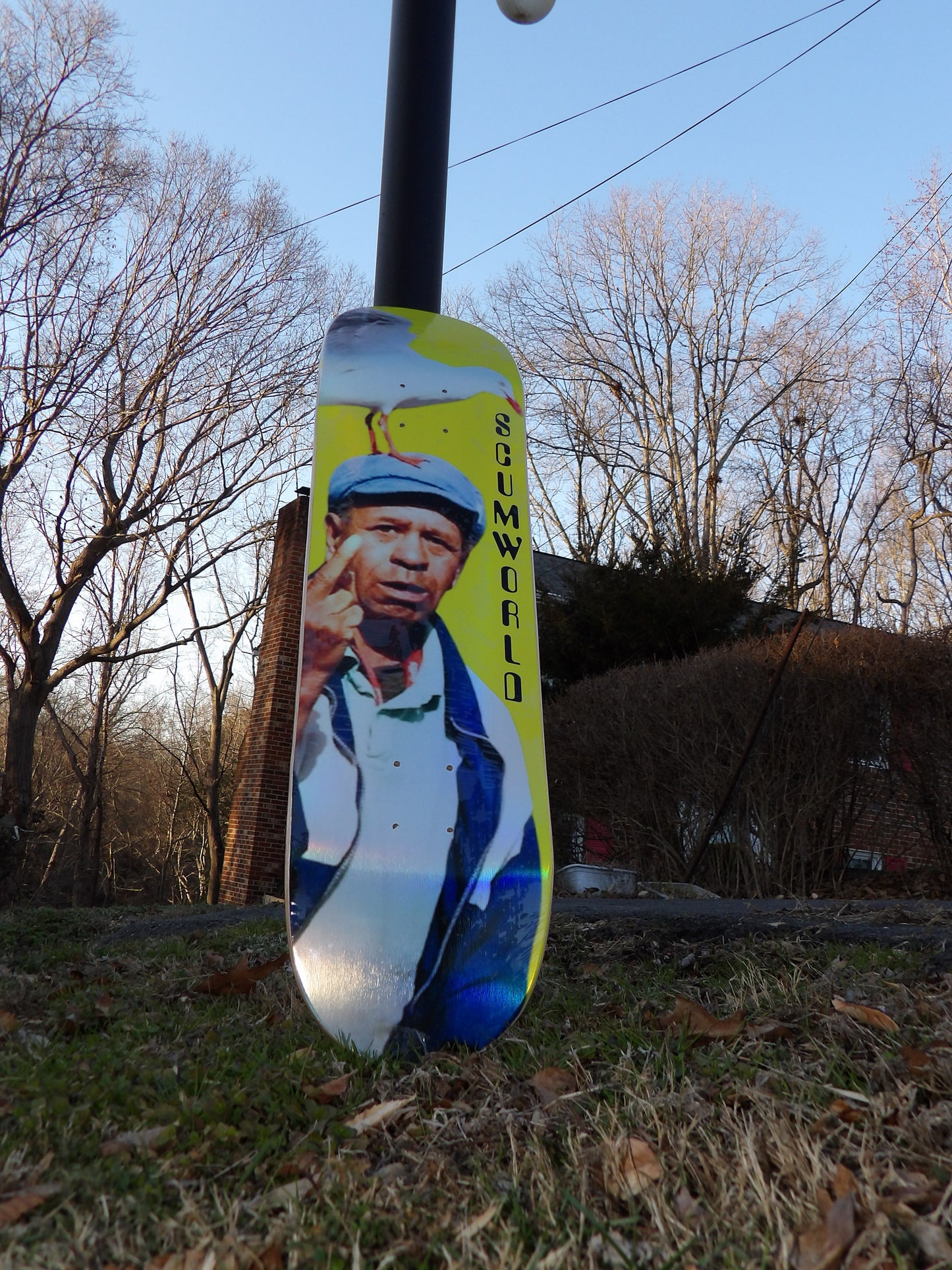 Middle finger bird skate deck.