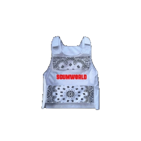 bulletproof vest