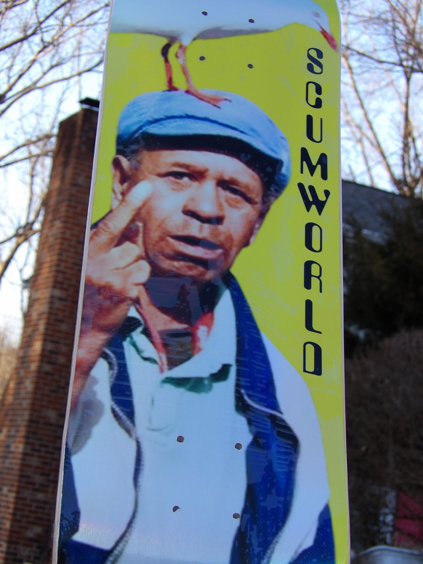 Middle finger bird skate deck.