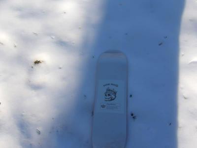 white snow death king skate deck