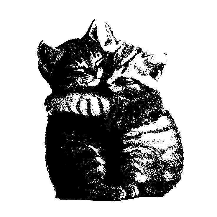 Untitled Jul3_13:40:51